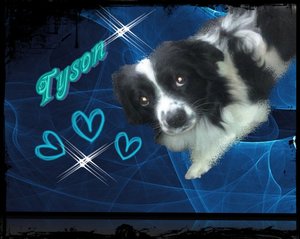 Tyson 123Original.jpg