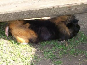 Lina versteckt sich.jpg Lina versteckt sich.jpg