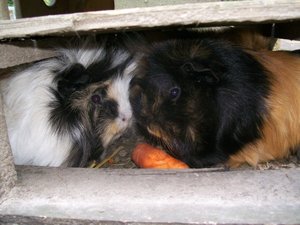 Lina mit Paula.jpg Lina mit Paula.jpg