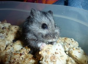 Leckerlie.JPG Leckerlie.JPG