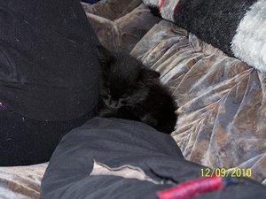 Mit meiner DosenÃ¶ffnerin kuscheln... - Kopie.JPG