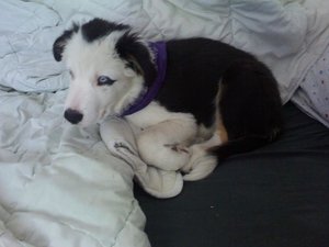 Kopie von 100906_143952.jpg