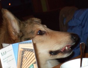 Ich will auch was.JPG