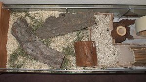 Foto 043.jpg Foto 043.jpg