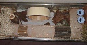 Foto 042.jpg Foto 042.jpg