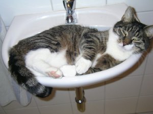 Kanzo (2) - Kopie.jpg