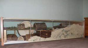 Foto 044.jpg Foto 044.jpg