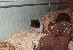 Foto 059.jpg Foto 059.jpg