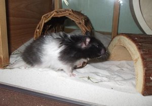 Foto 051.jpg Foto 051.jpg