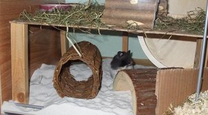 Foto 070.jpg Foto 070.jpg