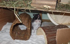 Foto 071.jpg Foto 071.jpg