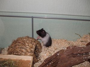 Foto 061.jpg Foto 061.jpg