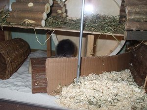 Foto 056.jpg Foto 056.jpg