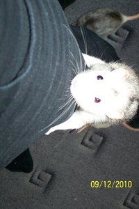 Lou verkleinert2.jpg