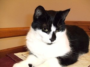 k-Finepix J50 047.jpg