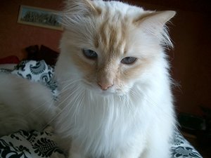 k-Finepix J50 077.jpg