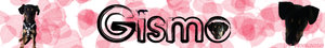 Gismo.jpg