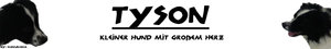 Tyson.jpg