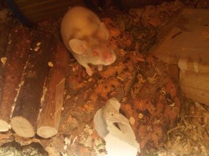 DSCI1423.JPG DSCI1423.JPG