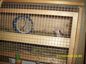 DSCI0859.JPG DSCI0859.JPG