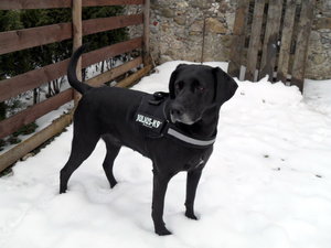 SDC11761.JPG SDC11761.JPG