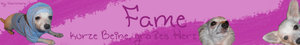 Fame.jpg