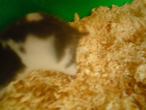 Kamerabilder 286.jpg