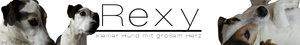 Rexy.jpg