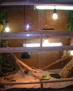 KrÃ¼cki Neubau 10-07-2010 II.JPG