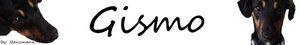 Gismo.jpg