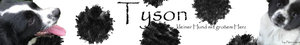 Tyson.jpg
