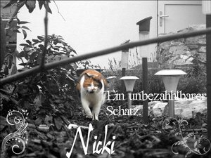 Niickiiii.JPG