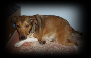 SDC10190 - Kopie.JPG