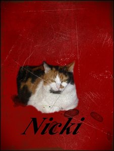 alles in einem ^^ 089.JPG