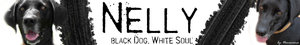 Nelly.jpg