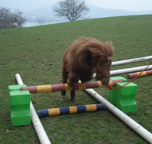 Sibylle Erni 154.JPG