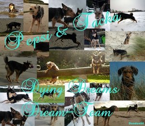 Pepsi Tacka Collage.JPG