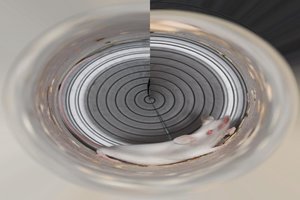 Saphyra im Schleudergang.jpg