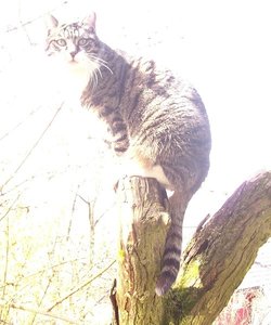 Internet Versuch 2.jpg