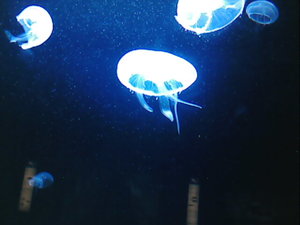 berlin und sooooo!!! 109.JPG