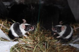 DSC_3281 - Kopie.JPG