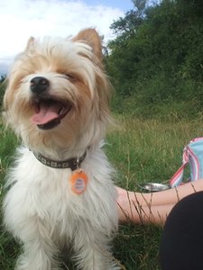 DSCF3058 - Kopie.JPG