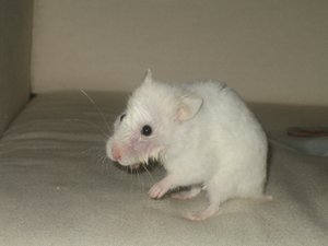 IMG_3854.JPG IMG_3854.JPG