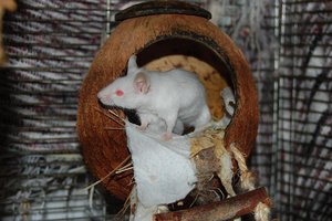 DSC_8065 - Kopie.JPG