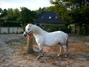 ALIM3177 - Kopie.JPG