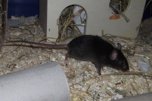 DSCF0088 02.jpg DSCF0088 02.jpg