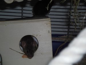 DSCF0085 02.jpg DSCF0085 02.jpg