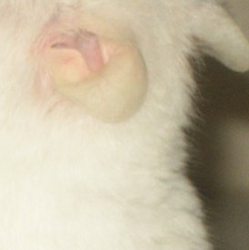 IMG_38676.JPG IMG_38676.JPG