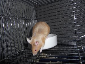 DSCF0072 02.jpg DSCF0072 02.jpg