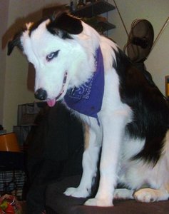 Copy of BILD4927.JPG